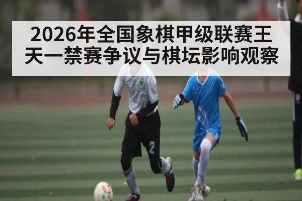 2026年全国象棋甲级联赛王天一禁赛争议与棋坛影响观察（hth）